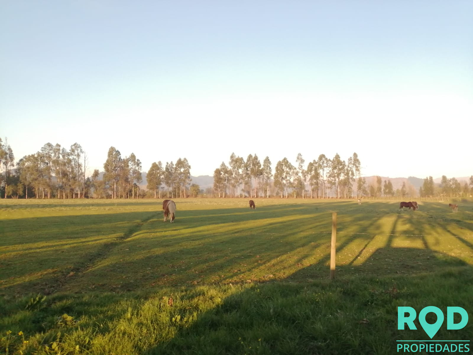 🍀 HERMOSO LOTEO EN LOMILLA