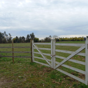 En Venta Parcela sector Pangue Arriba San Rafael