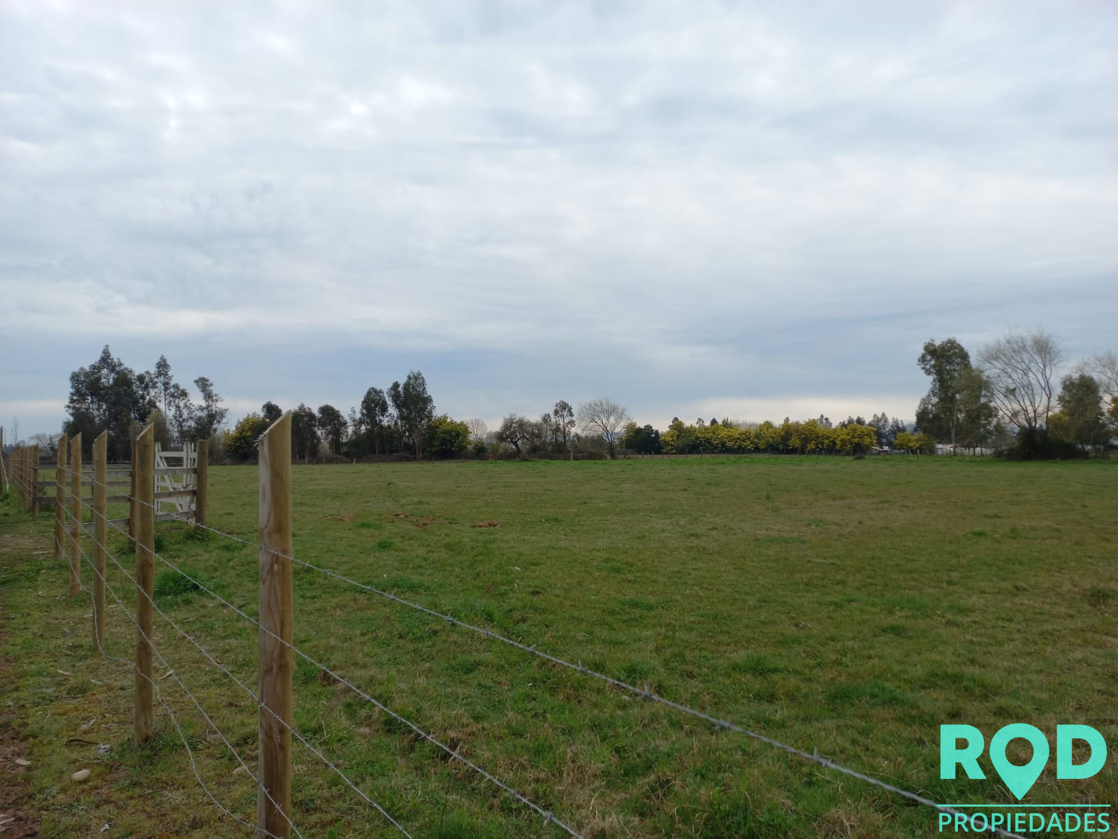 En Venta Parcela sector Pangue Arriba San Rafael